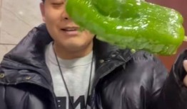 廊坊网红吃瓜事件,揭秘网络舆论的风暴与真相